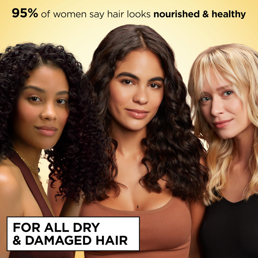 Garnier Whole Blends Repairing Shampoo Honey Treasures Count
