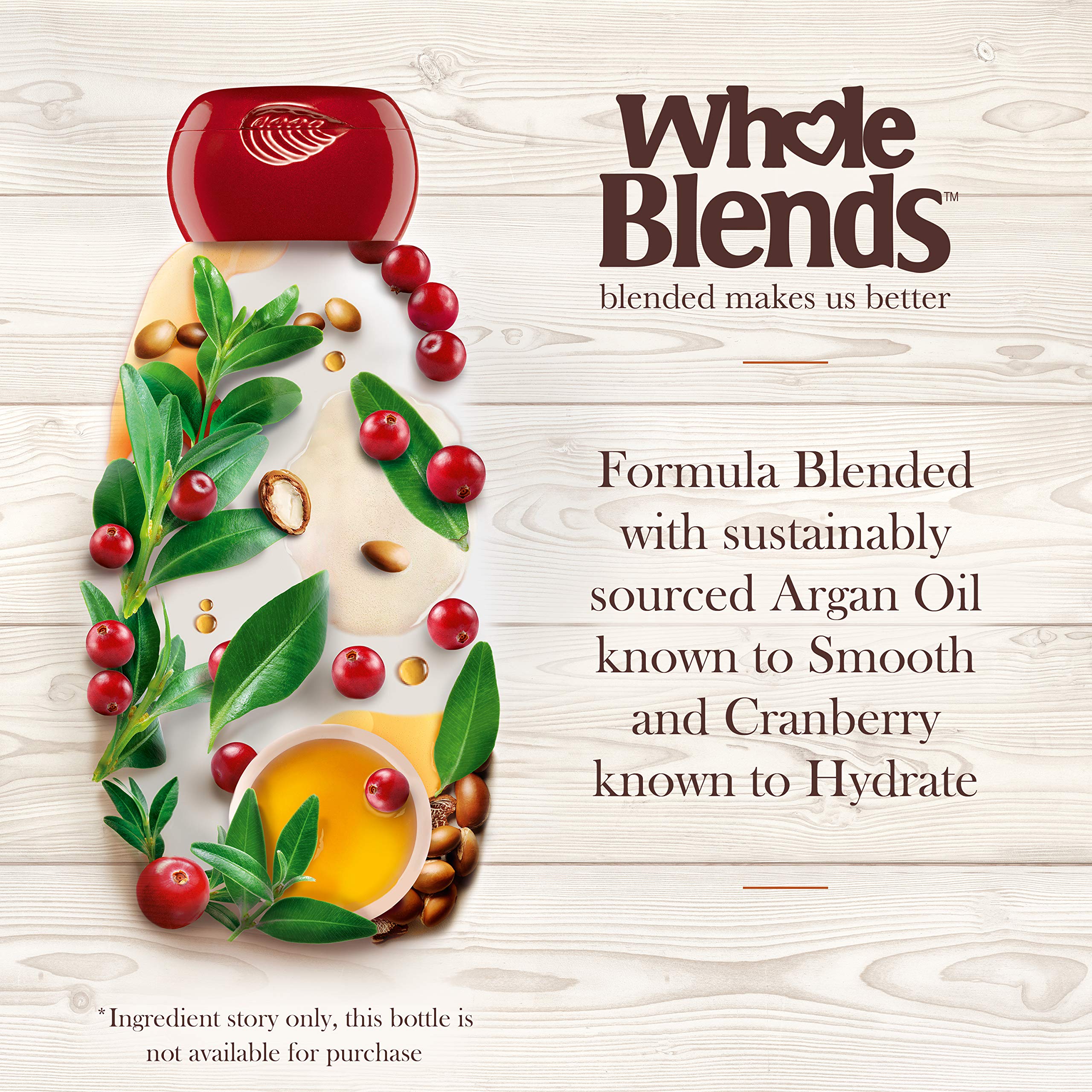 Garnier Hair Care Whole Blends Color Care Shampoo